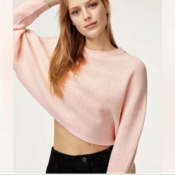 Aritzia Sweaters - ARITZIA Wilfred Free Lolan Cropped Sweater Pink M